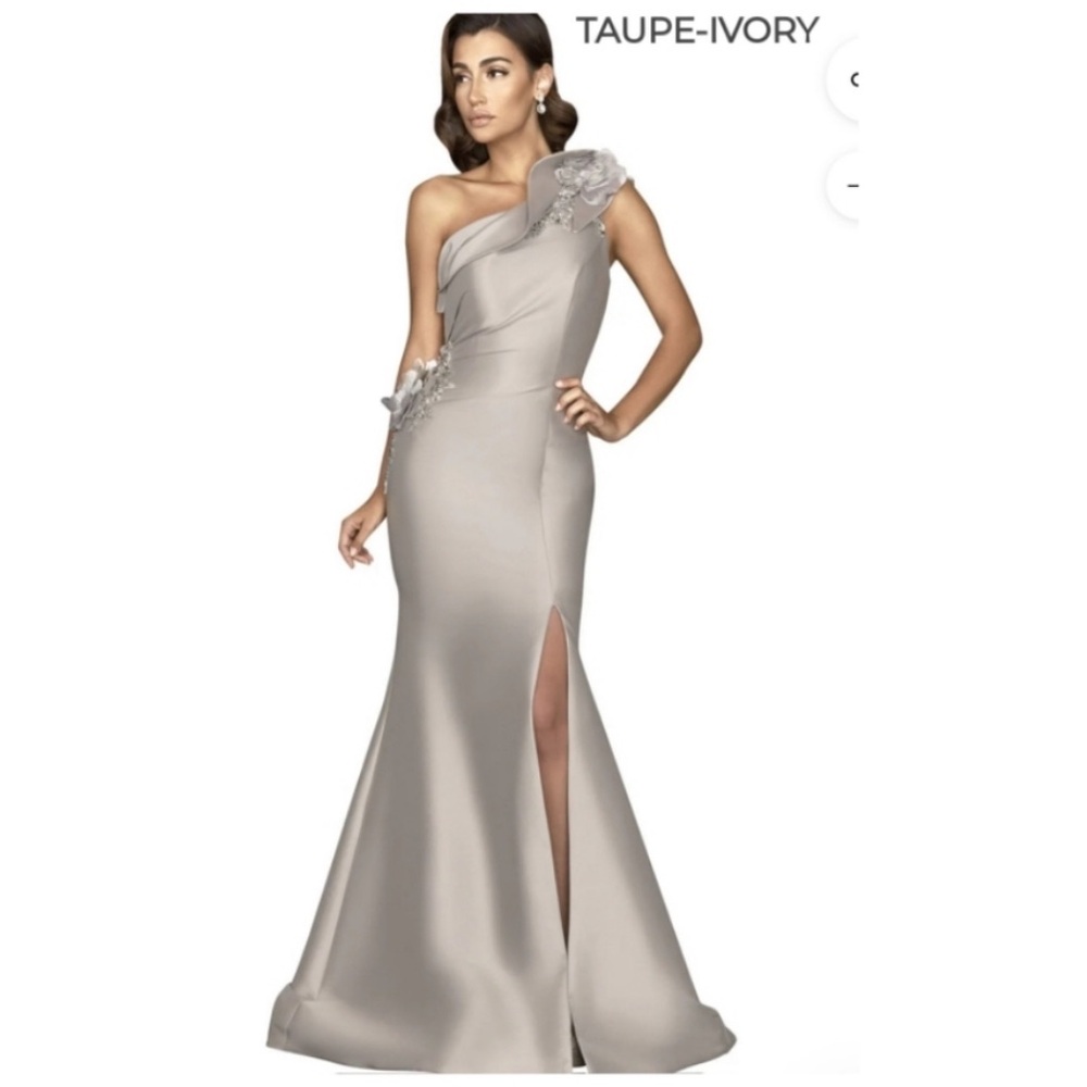 Terani Couture Gown